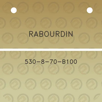 rabourdin-530-8-70-b100