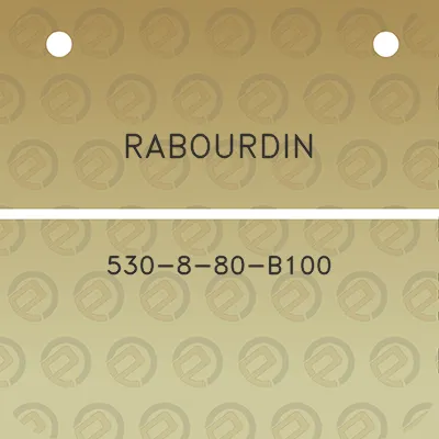 rabourdin-530-8-80-b100