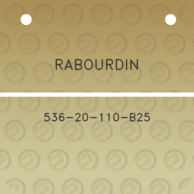 rabourdin-536-20-110-b25