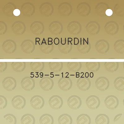 rabourdin-539-5-12-b200