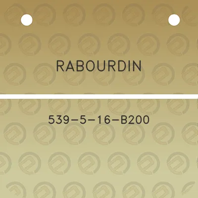 rabourdin-539-5-16-b200