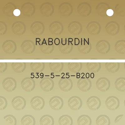 rabourdin-539-5-25-b200