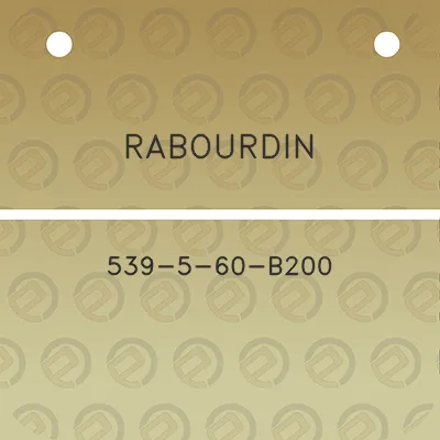 rabourdin-539-5-60-b200