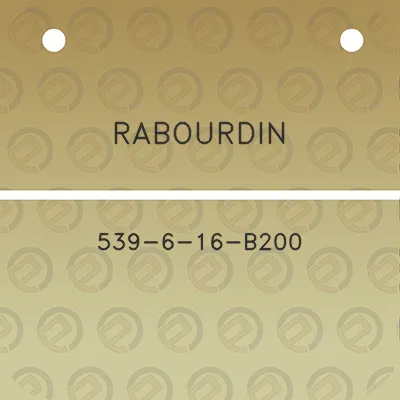 rabourdin-539-6-16-b200