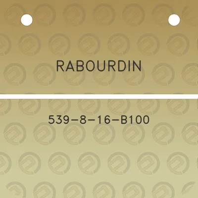 rabourdin-539-8-16-b100