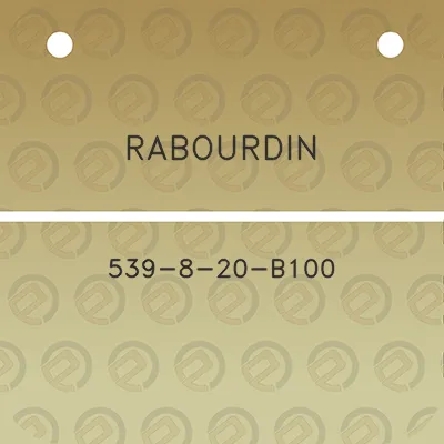 rabourdin-539-8-20-b100