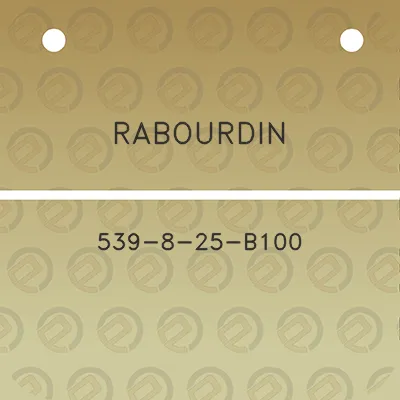 rabourdin-539-8-25-b100