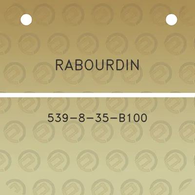 rabourdin-539-8-35-b100