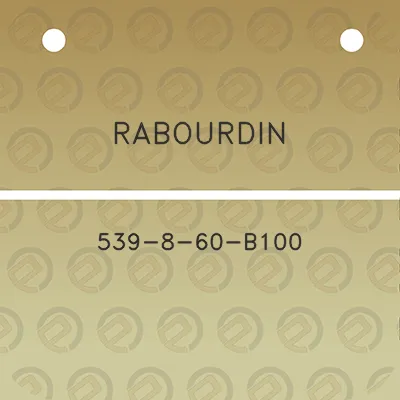 rabourdin-539-8-60-b100