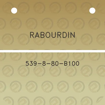 rabourdin-539-8-80-b100