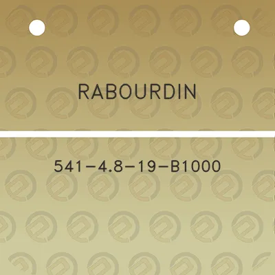 rabourdin-541-48-19-b1000