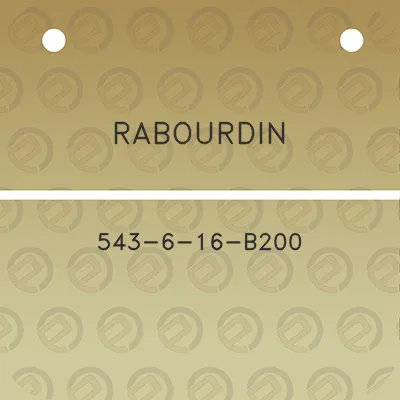 rabourdin-543-6-16-b200