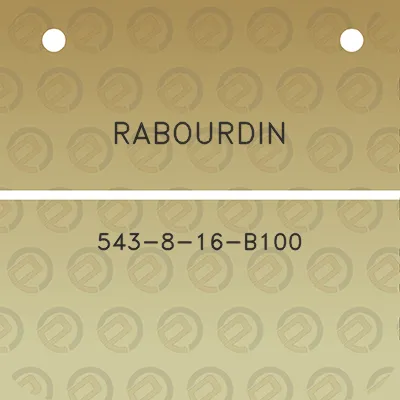 rabourdin-543-8-16-b100