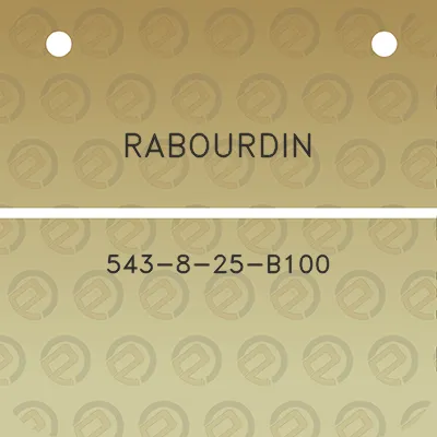 rabourdin-543-8-25-b100