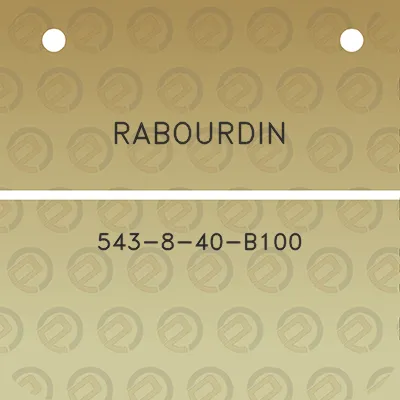 rabourdin-543-8-40-b100