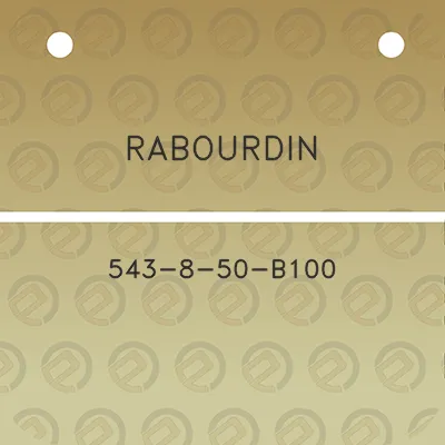 rabourdin-543-8-50-b100