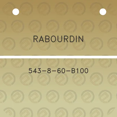 rabourdin-543-8-60-b100