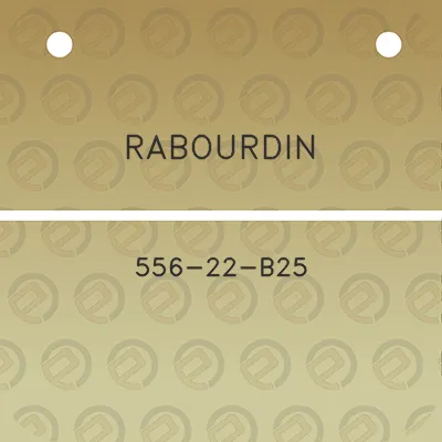 rabourdin-556-22-b25