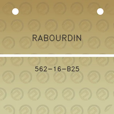 rabourdin-562-16-b25