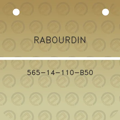 rabourdin-565-14-110-b50