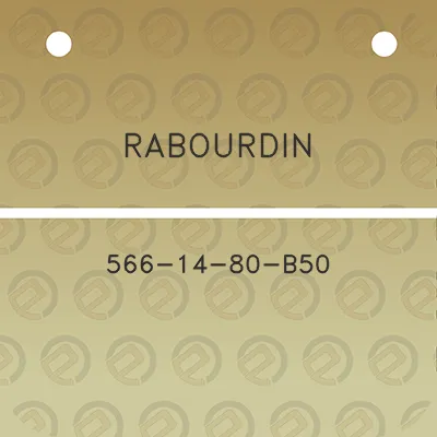 rabourdin-566-14-80-b50