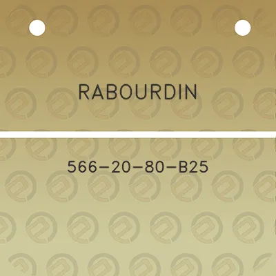 rabourdin-566-20-80-b25