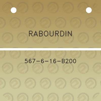 rabourdin-567-6-16-b200