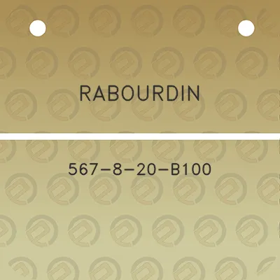 rabourdin-567-8-20-b100