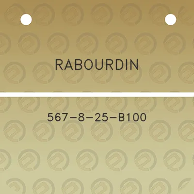 rabourdin-567-8-25-b100