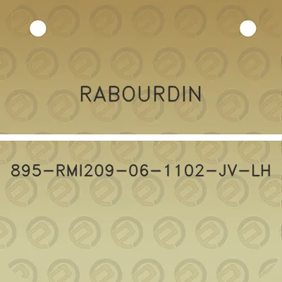 rabourdin-895-rmi209-06-1102-jv-lh