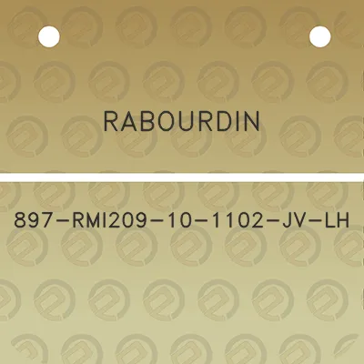 rabourdin-897-rmi209-10-1102-jv-lh