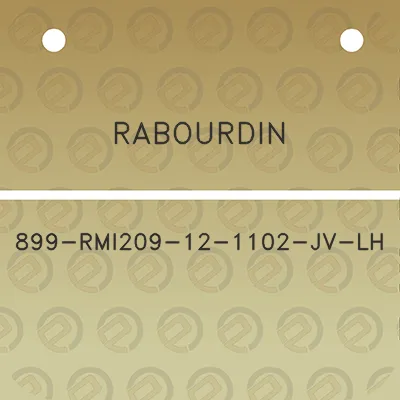 rabourdin-899-rmi209-12-1102-jv-lh