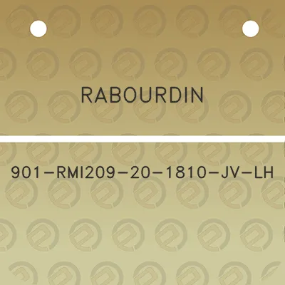 rabourdin-901-rmi209-20-1810-jv-lh