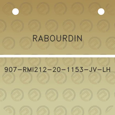 rabourdin-907-rmi212-20-1153-jv-lh