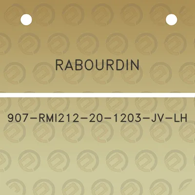 rabourdin-907-rmi212-20-1203-jv-lh