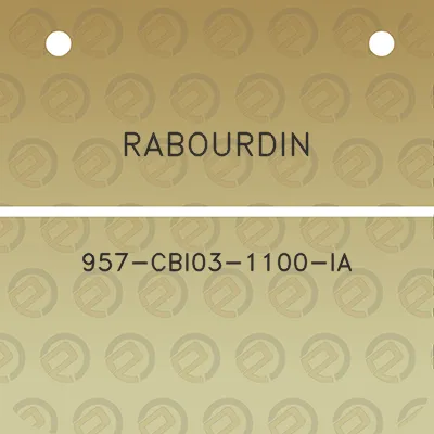 rabourdin-957-cbi03-1100-ia