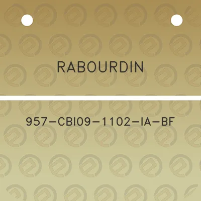 rabourdin-957-cbi09-1102-ia-bf