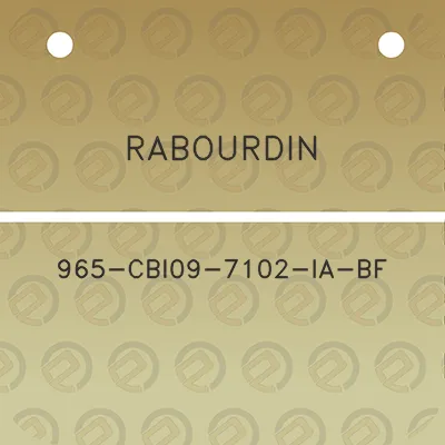 rabourdin-965-cbi09-7102-ia-bf