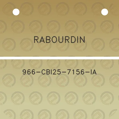 rabourdin-966-cbi25-7156-ia