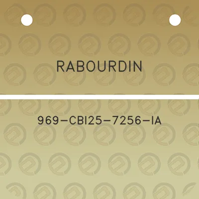 rabourdin-969-cbi25-7256-ia