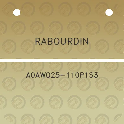 rabourdin-a0aw025-110p1s3