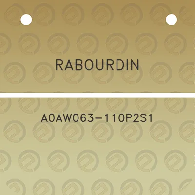 rabourdin-a0aw063-110p2s1