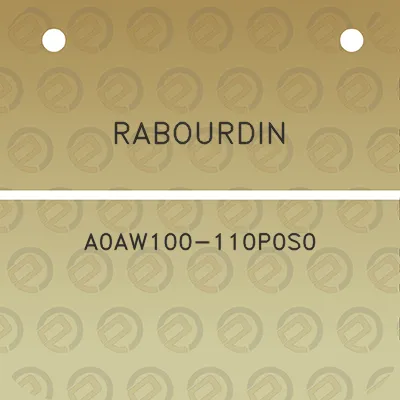 rabourdin-a0aw100-110p0s0