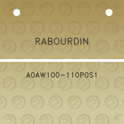 rabourdin-a0aw100-110p0s1