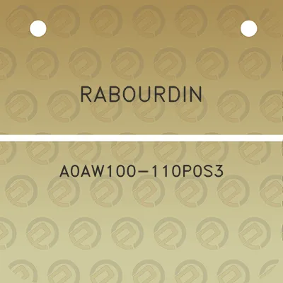 rabourdin-a0aw100-110p0s3