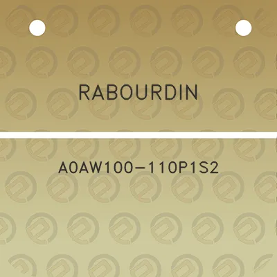 rabourdin-a0aw100-110p1s2