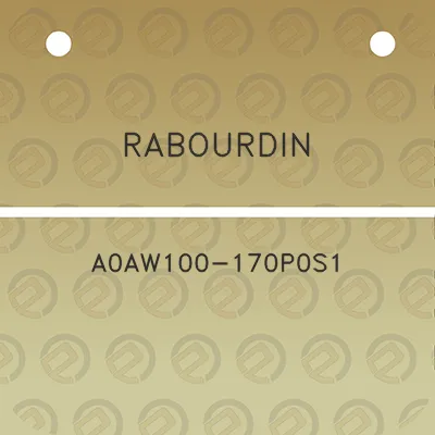 rabourdin-a0aw100-170p0s1