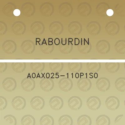 rabourdin-a0ax025-110p1s0