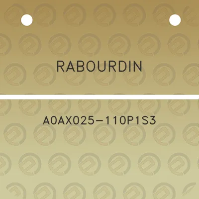 rabourdin-a0ax025-110p1s3