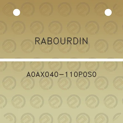 rabourdin-a0ax040-110p0s0